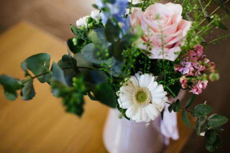 Hướng dẫn chăm sóc hoa đồng tiền trong chậu tại nhà, bao gồm tưới nước và bón phân.
